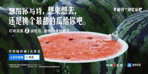 娱乐吃瓜的文案